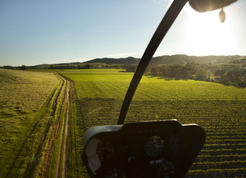 Barossa Valley: 20-Minute Scenic Helicopter Flight - Highlights Along the Way