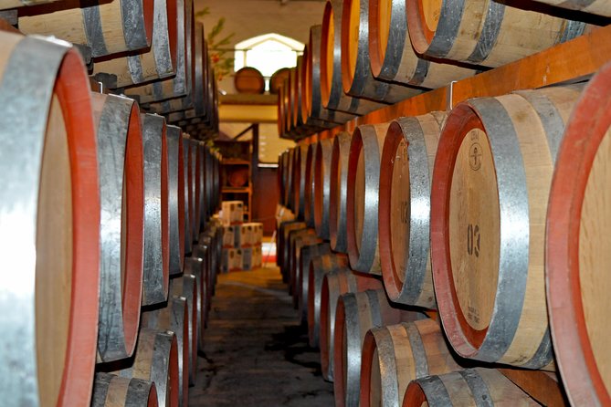 Barossa Valley Cellar Door Small Group Tour - Positive Testimonials