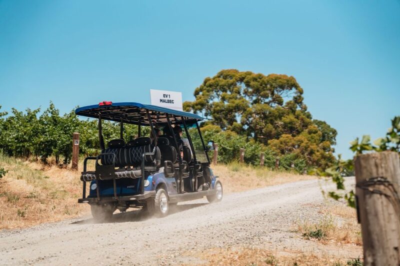 Barossa Valley: Ecovine Explorer - E-Cart Vineyard Tour - Experience and Highlights