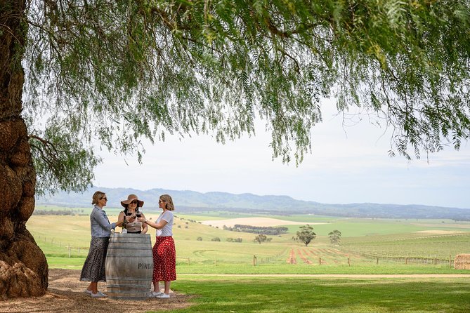 Barossa Valley Food and Wine Tour - Transportation and Accessibility