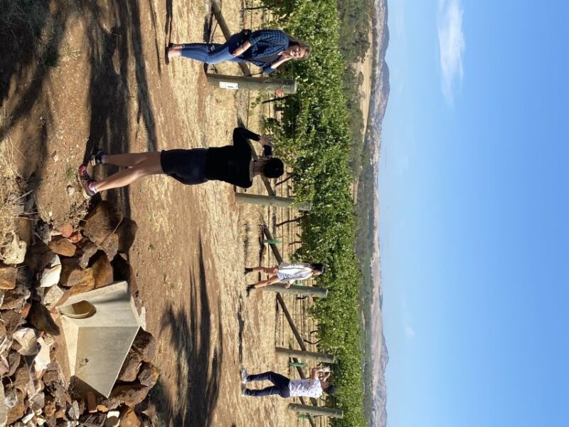 Barossa Valley: Full-Day VIP Barossa Valley Private Tour - Itinerary