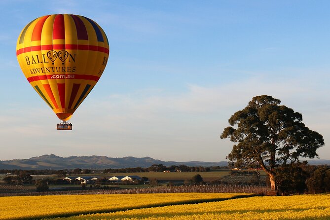 Barossa Valley Hot Air Balloon Ride With Breakfast - Inclusions and Additional Information