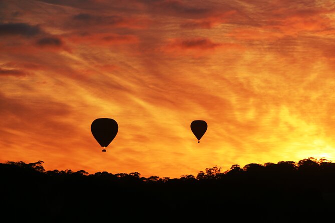 Barossa Valley Hot Air Balloon Ride With Breakfast - Passenger Requirements and Recommendations