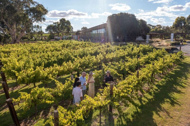 Barossa Valley: Jacobs Creek Perfect Picnic - Local SA Produce Platter