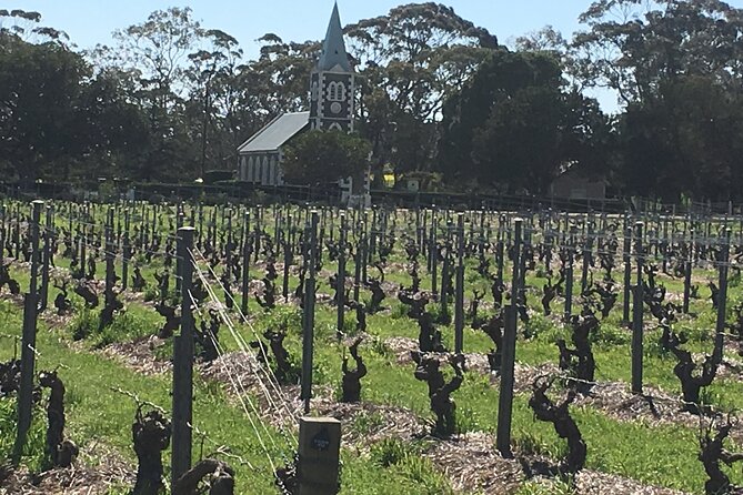 Barossa Valley Private Luxury Tour - Reviews and Ratings