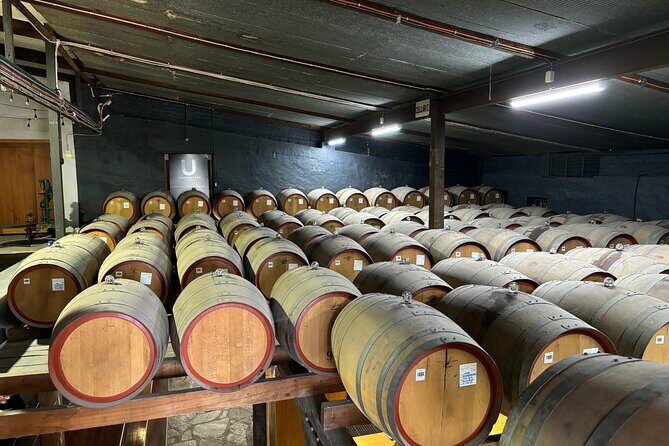 Barossa Valley Private Luxury Tour Half Day - The Sum Up
