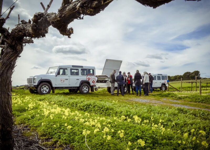 Barossa Valley: Two Hands 3 Hour Vineyard 4WD Tour With Wine - Highlights of the Tour