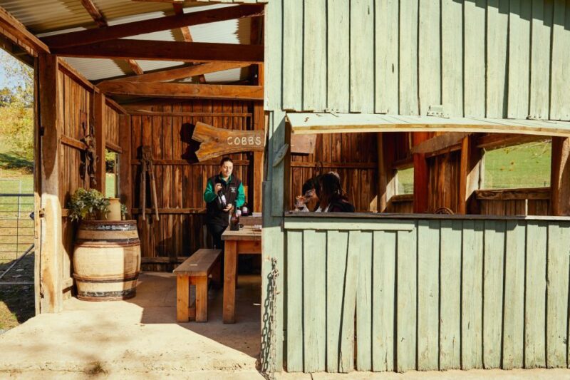 Barossa: Wine Tour With Lunch and Wine Tasting - Local Expert Guidance