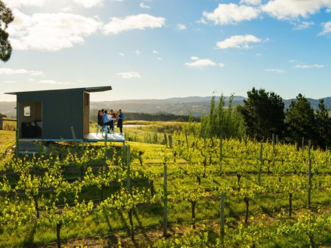 Barossa: Wine Tour With Lunch and Wine Tasting - Tour Duration and Size