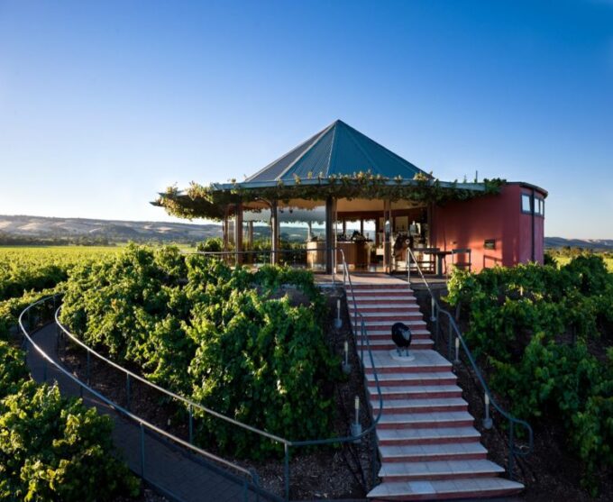 Barossa: Wine Tour With Lunch and Wine Tasting - Inclusions and Pricing