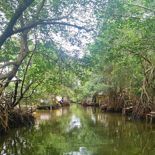 Barra Da Tijuca: the Kingdom of Waters, Its Secrets and Biodiversity. - Key Points