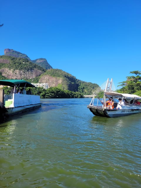 Barra Da Tijuca: the Kingdom of Waters, Its Secrets and Biodiversity. - Diverse Wildlife Observation