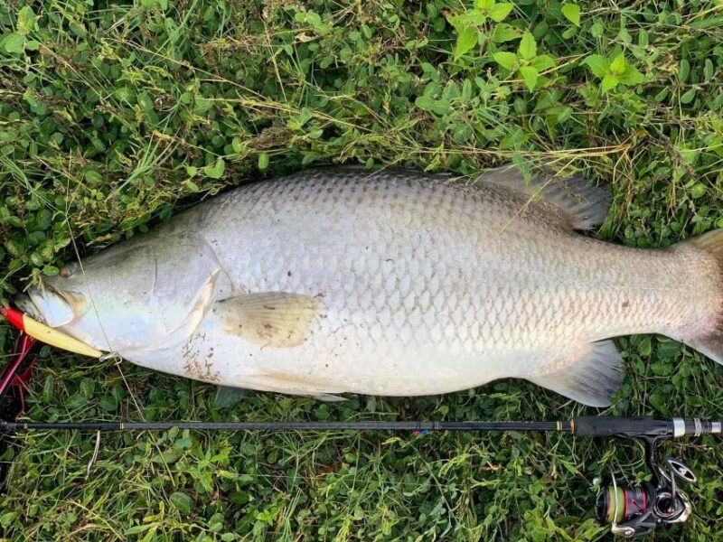 Barramundi Adventure Fishing Tours - Frequently Asked Questions