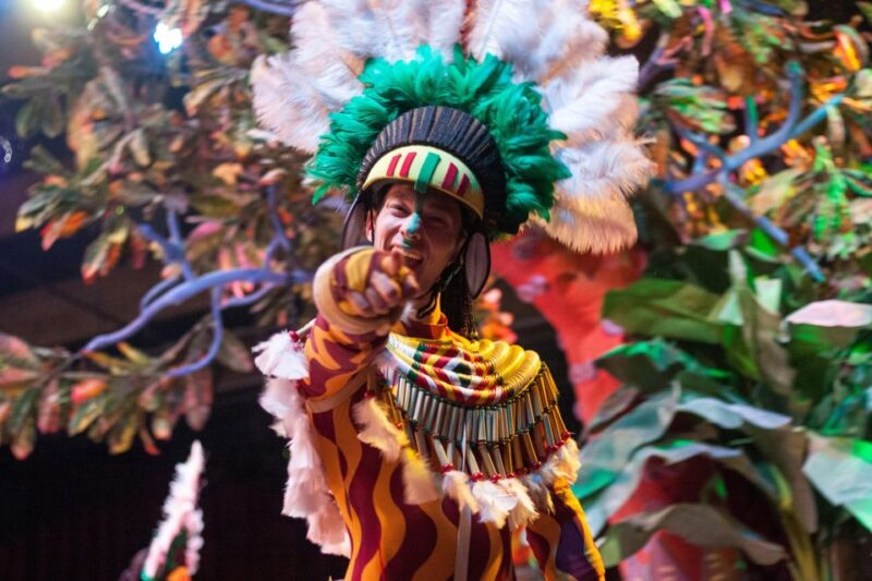 Barranquilla Carnival: Parade W/ Colombia Soccer Federation - Pricing and Booking