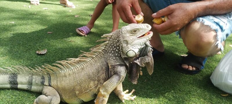 BARRANQUILLA: Walking Tour in English/French - Itinerary Highlights