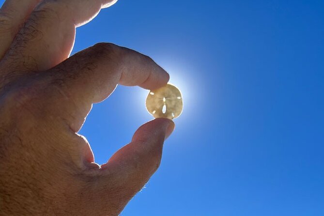 Barrier Island Shelling Tour - Destinations Explored