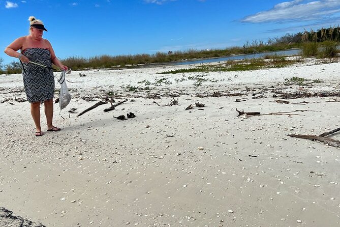 Barrier Island Shelling Tour - Expert Guide and Naturalist