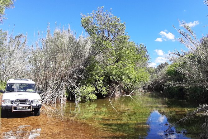 Barrocal Adventure - 4 Hours - Pickup Information