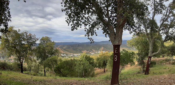 Barrocal Adventure - 4 Hours - Breathtaking Landscapes