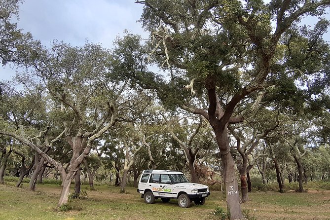 Barrocal Adventure - 4 Hours - Friendly Guide