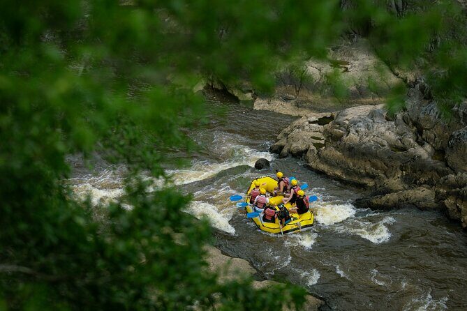 Barron River Half-Day White Water Rafting Cairns or Port Douglas - An In-Depth Look at the Barron River White Water Rafting Experience
