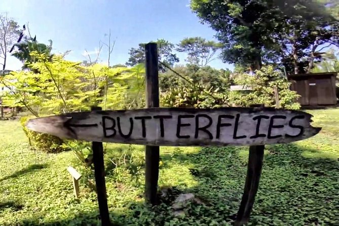 Barton Creek Cave & Butterfly Farm - Mayan Cultural Insights