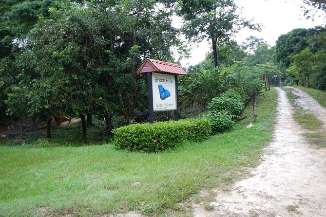 Barton Creek Cave & Butterfly Farm - Exceptional Reviews