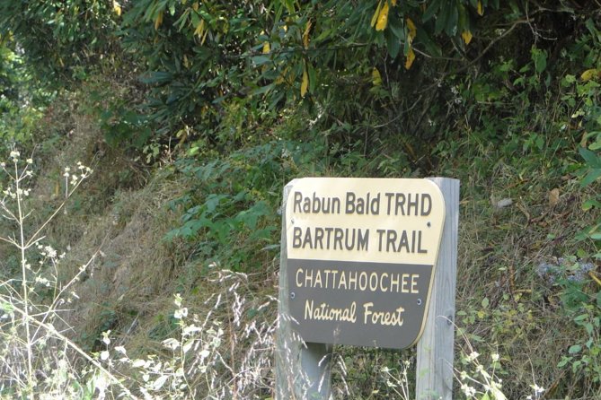 Bartram Trail Hike Plus Wine Tasting - Wine Tasting Experience