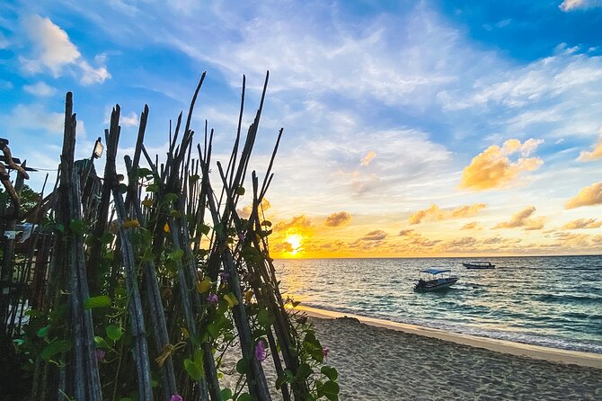 Baru and Playa Blanca Full Day - Travel Tips and Considerations