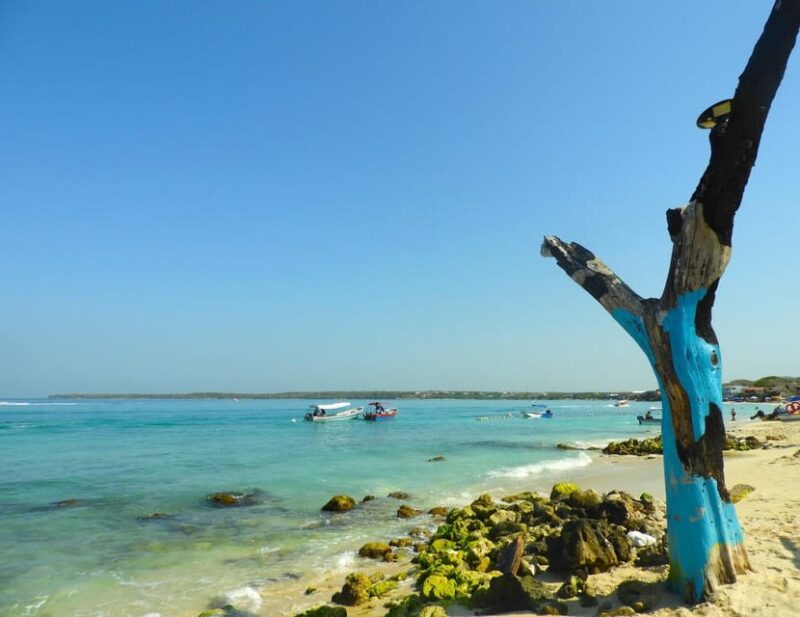 Barú: Enjoy the Magic of Baru Choosing the Best Option for You - Inclusions and Exclusions