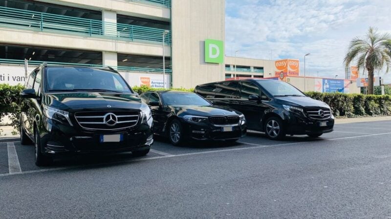 Basel Airport (BSL): Private Transfer to Basel - Included Services