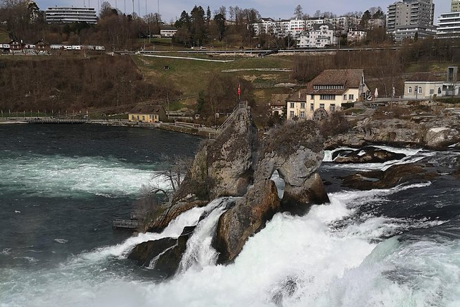 Basel Cruise Arrival Full-Day Private Tour With Transfers - Review Insights