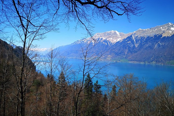 Basel Cruise Arrival Full-Day Private Tour With Transfers - Itinerary Options