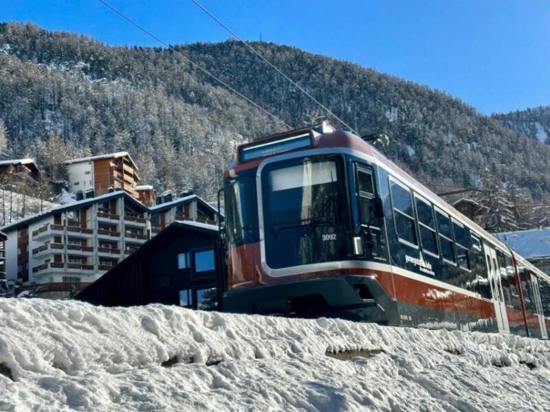 Basel: Gornergrat Railway & Matterhorn Glacier Paradise Tour - Inclusions and Amenities