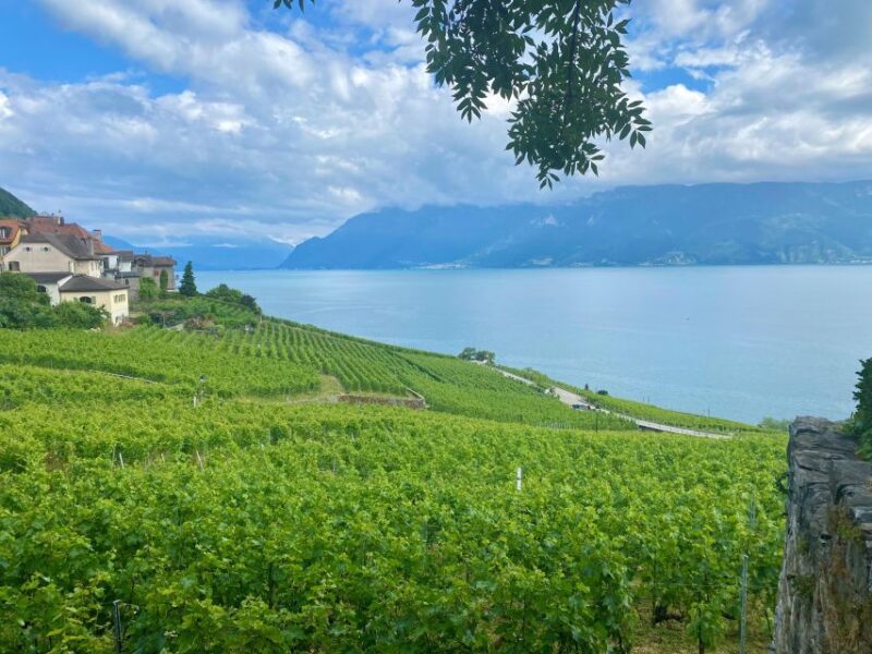 Basel: Gruyères and Lavaux Private Wine and Cheese Day Trip - Key Points