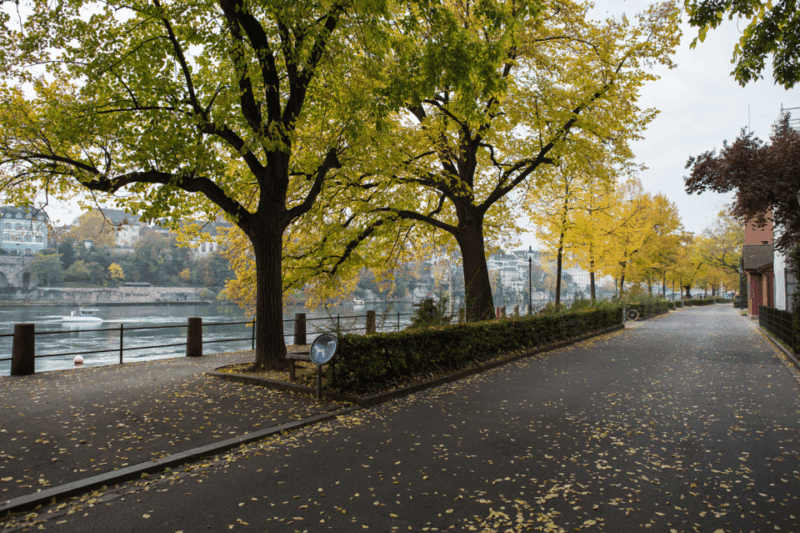 Basel: Highlights App Guided Tour With Puzzles - Ideal for All Visitors