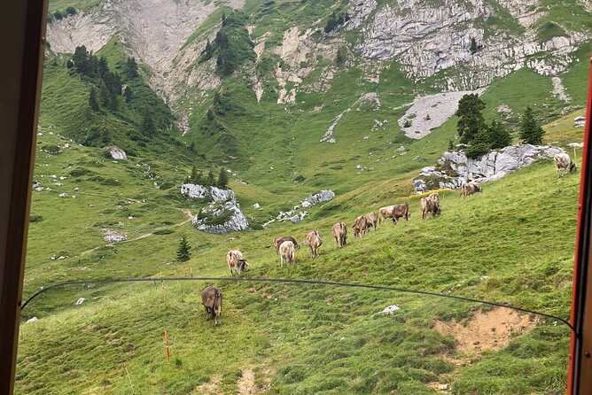 Basel Private Tour - Mt. Pilatus and Cruise on Lake of Lucerne - Meeting and Greeting Arrangements