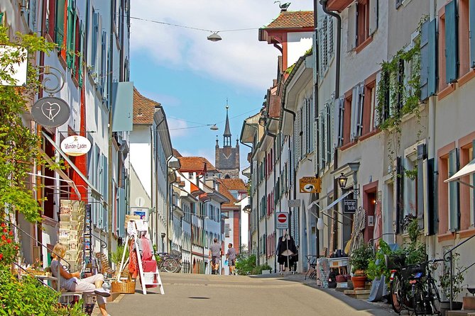 Basel Private Walking Tour With a Professional Guide - Quick Points