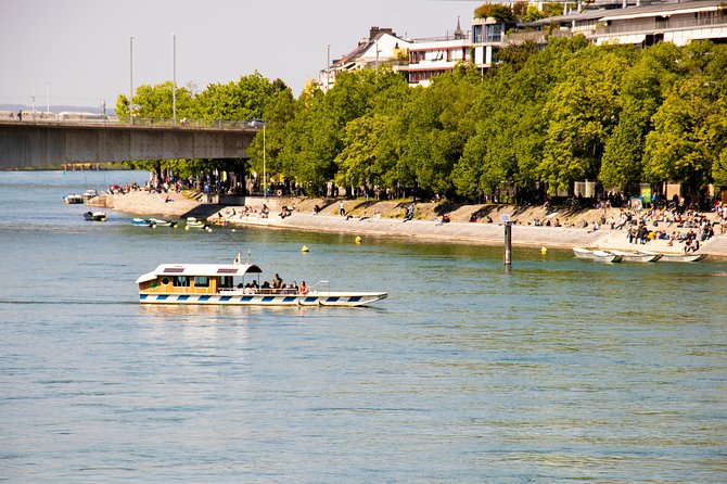 Basel Small-Group One-Hour Walking Tour With a Local Guide - Meeting and Pickup Locations