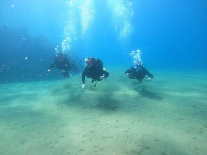 Basic Diver - Experience for Beginners With 2 Dives - Activity Overview