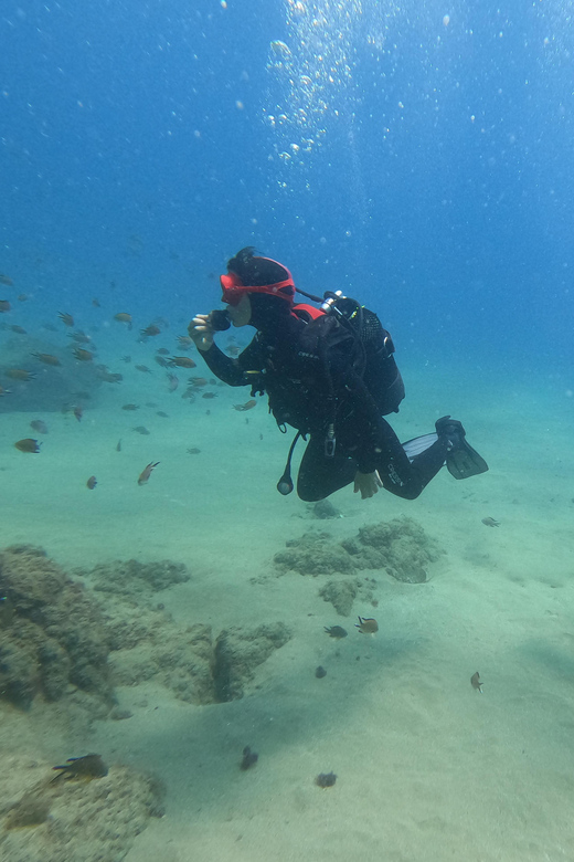 Basic Diver - Experience for Beginners With 2 Dives - Diving Experience