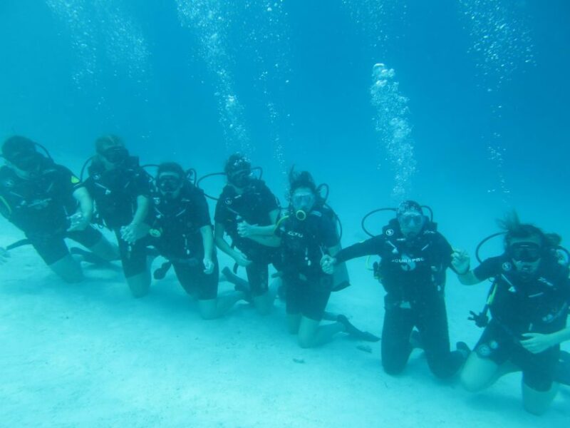 Basic Fun Dive At Menjangan Island - Inclusions and Exclusions