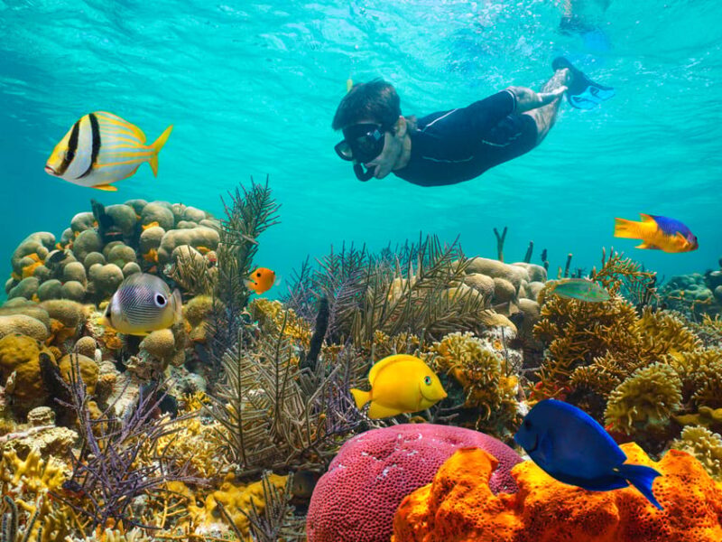 BASIC ISLA MUJERES CATAMARAN - Key Points