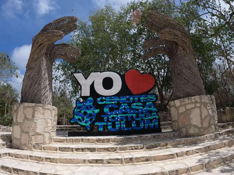 Basic Ticket to Cenotes Casa Tortuga Tulum - Wisho Cenote