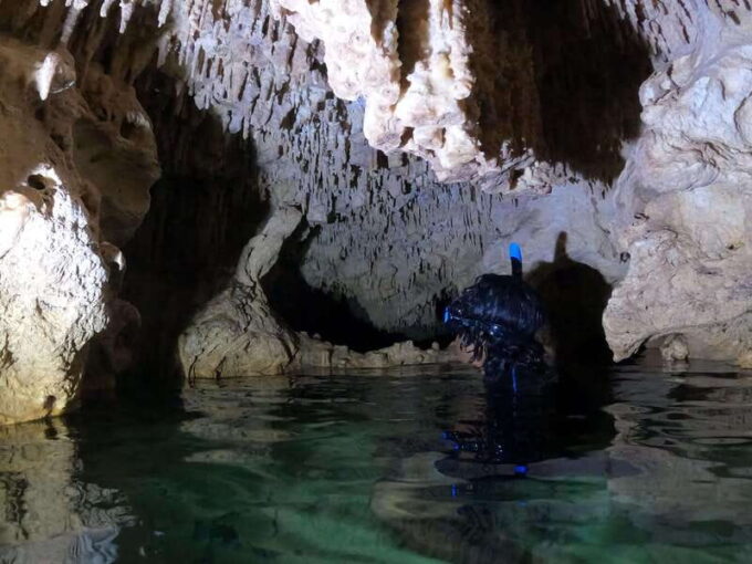 Basic Ticket to Cenotes Casa Tortuga Tulum - Customer Reviews and Contact