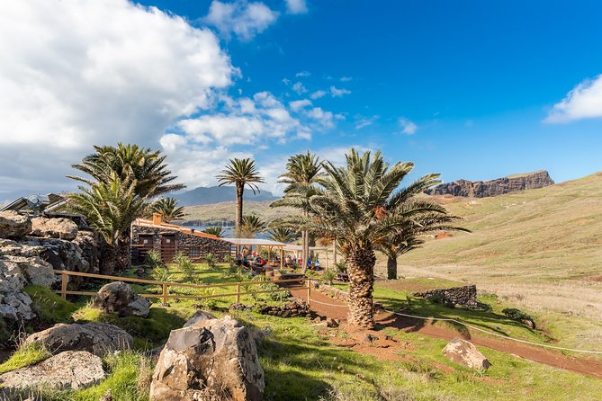 Basic Tour 1 - Cais Do Sardinha to Quinta Do Lorde (One Way) - Cancellation and Booking Policies