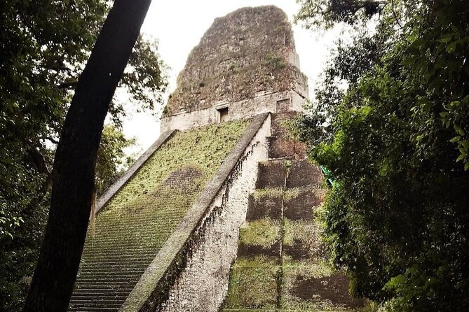 Basic Tour to Tikal Includes Transportation and Guide Service - Guides Expertise