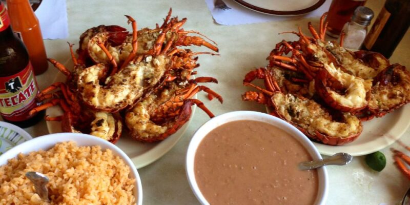 Basic Wine Route: Guadalupe Valley, Baja California - Key Points