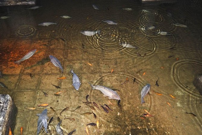 Basilica Cistern Skip the Line Ticket & AudioGuide - Exploring the Cistern Independently