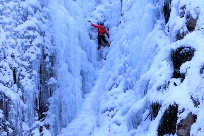 Bask in the Beauty of Winter Nikko in This Unforgettable Ice Climbing Experience - Scaling the Frozen Waterfalls